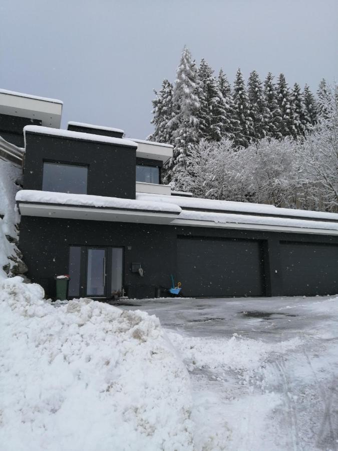 Apartament Panorama Alpendorf Sankt Johann im Pongau Zewnętrze zdjęcie
